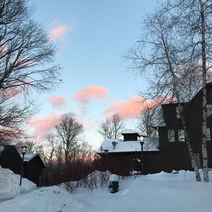 Meet your Posher, Evie